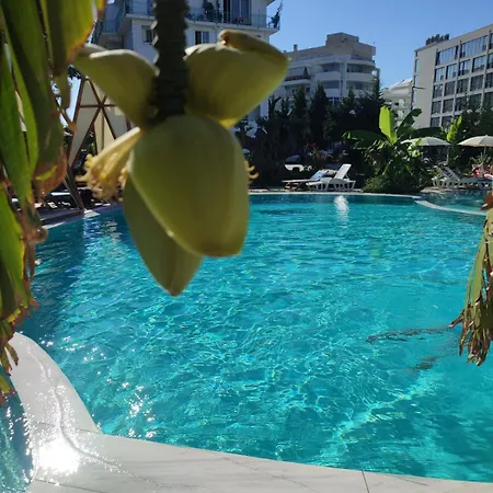 Garden Palace Θέρετρο *