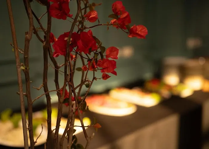 Garden Palace Resort Golem (Tirana)