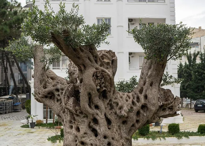 Garden Palace Ośrodek wypoczynkowy Golem (Tirana)