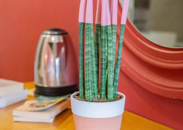 Garden Palace Ośrodek wypoczynkowy *