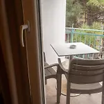Garden Palace منتجع