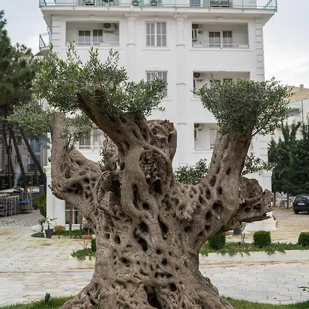 Garden Palace Station touristique Golem (Tirana)