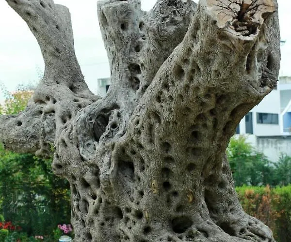 Garden Palace Golem (Tirana)